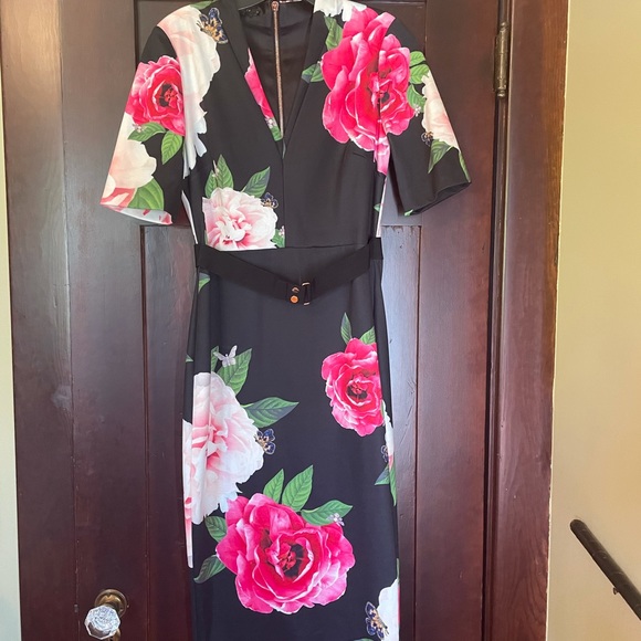 Ted Baker Dresses & Skirts - Ted Baker Gilanno Magnificent Dress  6 US